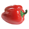 Red Pepper